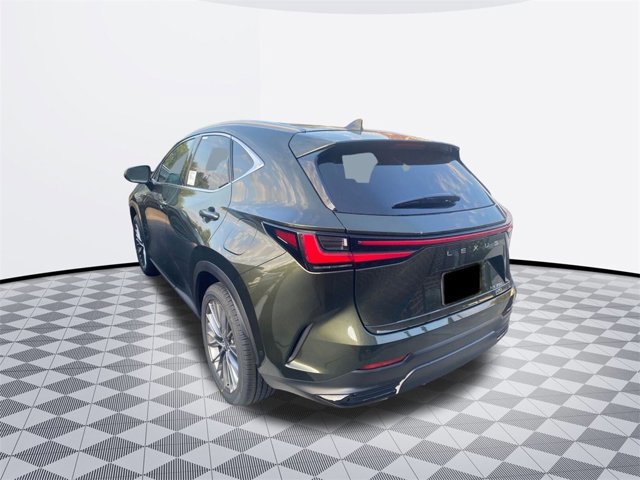 2026 Lexus NX 350 Luxury photo 3