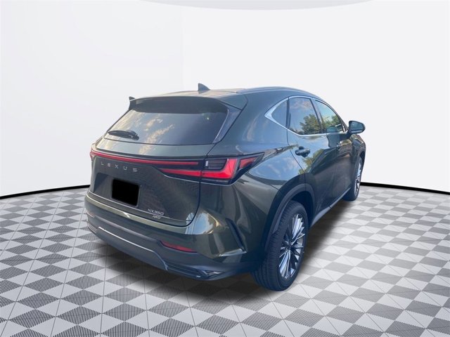 2026 Lexus NX 350 Luxury photo 4
