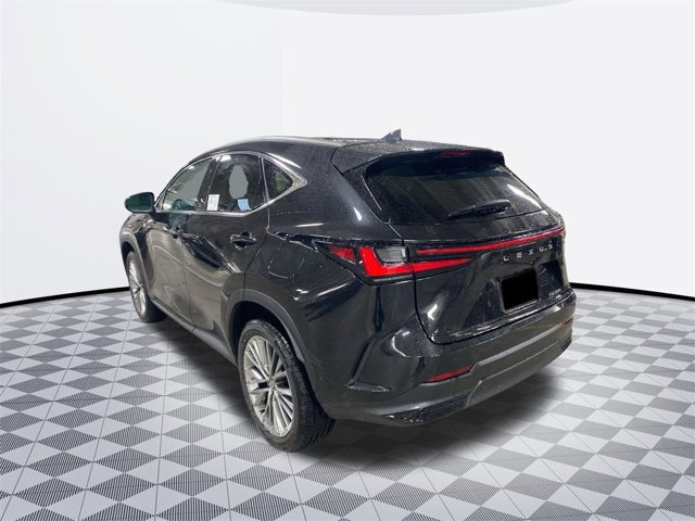 2026 Lexus NX 350 Luxury photo 3