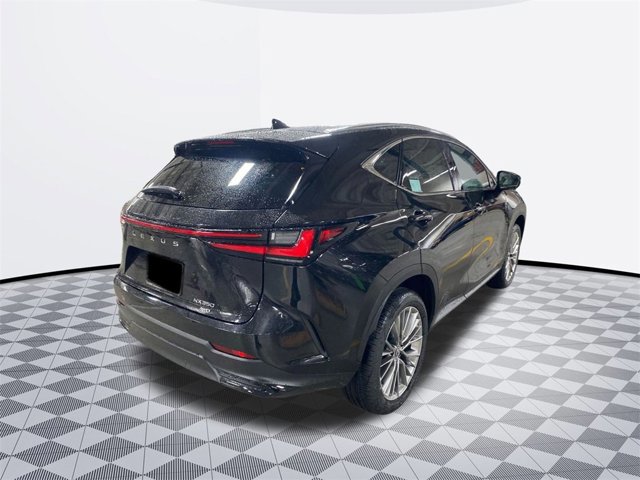 2026 Lexus NX 350 Luxury photo 4