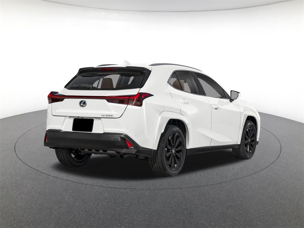 2025 Lexus UX Premium photo 2