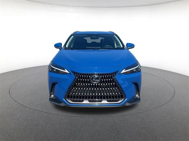 2022 Lexus NX 350's photo