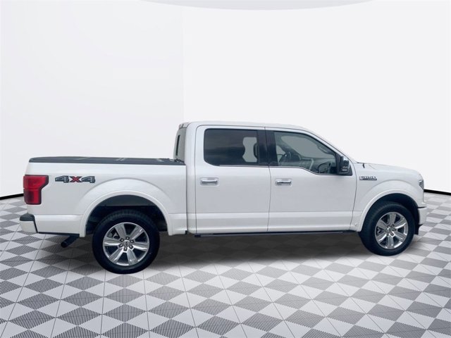 2019 Ford F-150 Platinum photo 4