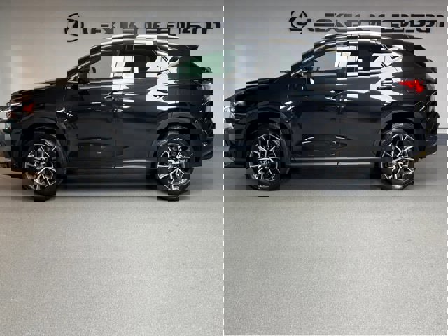 2025 Lexus NX 350h Luxury photo 4