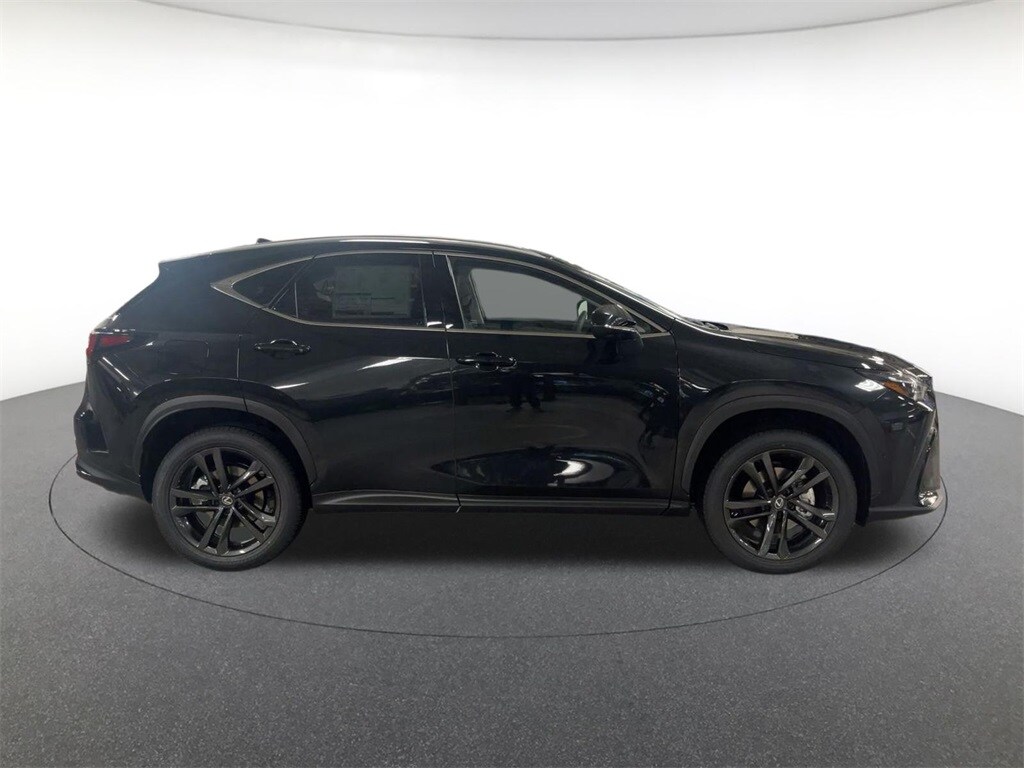 2026 Lexus NX Luxury photo 3