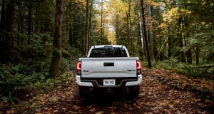 Toyota Tacoma parked in forest