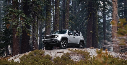 Jeep Renegade parked in forest