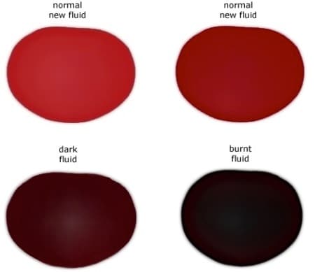 06 pontiac g6 transmission fluid check