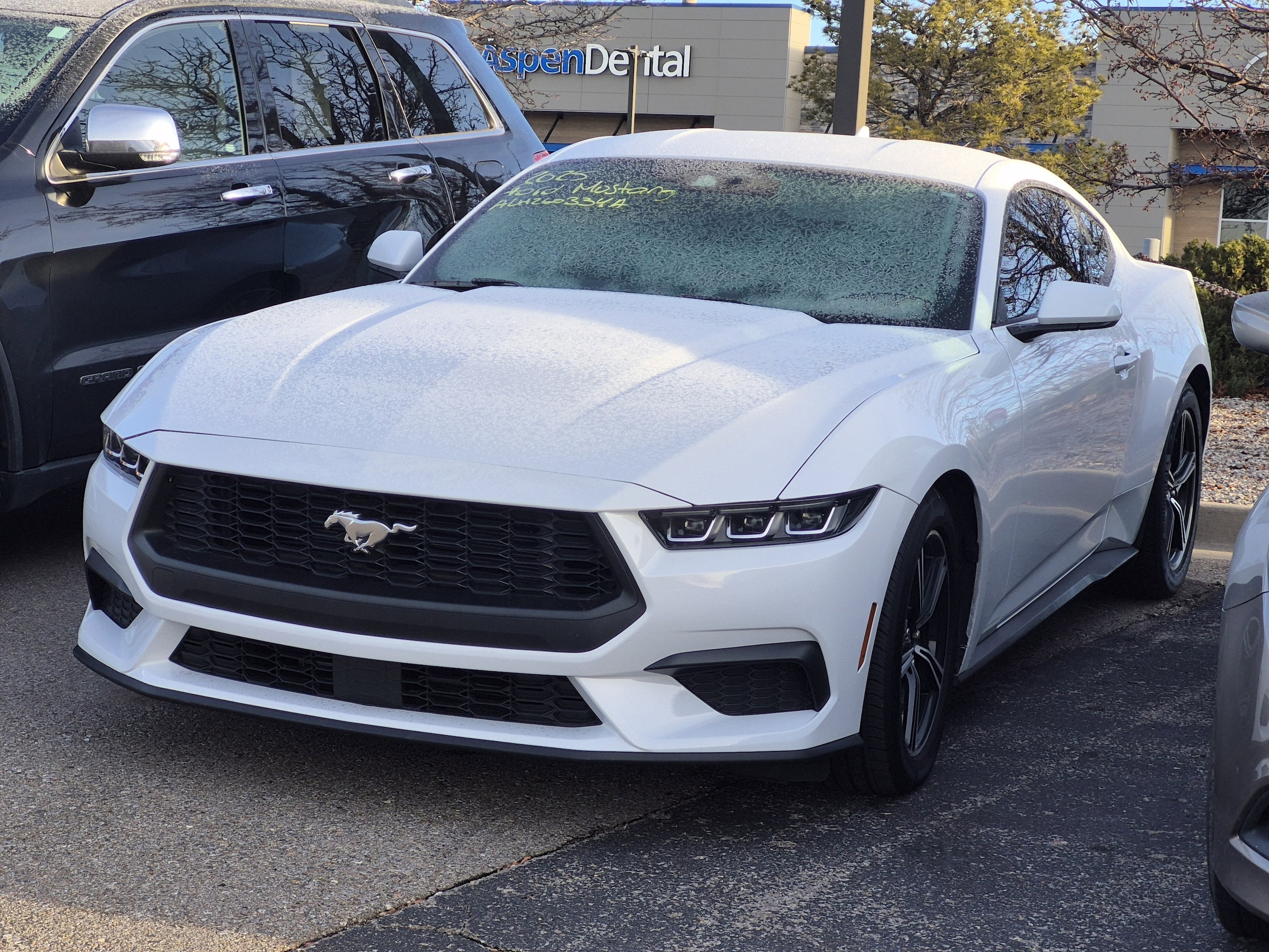 2025 Ford Mustang EcoBoost's photo