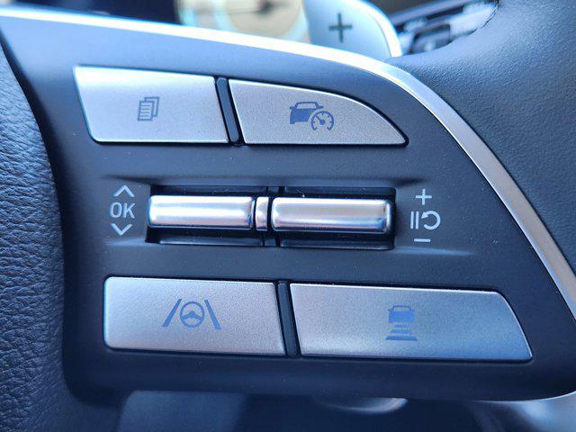 2025 Hyundai Palisade SEL Premium - Photo 18