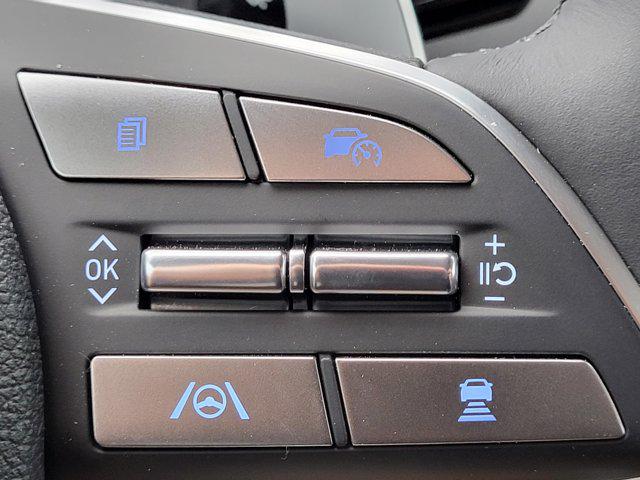 2025 Hyundai Palisade SEL Premium - Photo 19