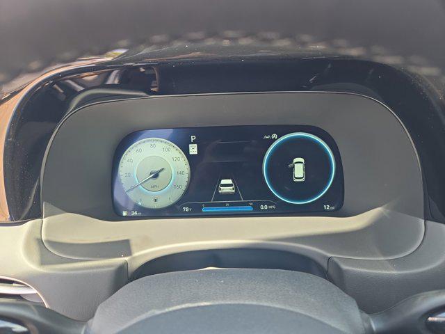 2025 Hyundai Palisade SEL Premium - Photo 10