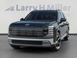  Hyundai Palisade Hybrid