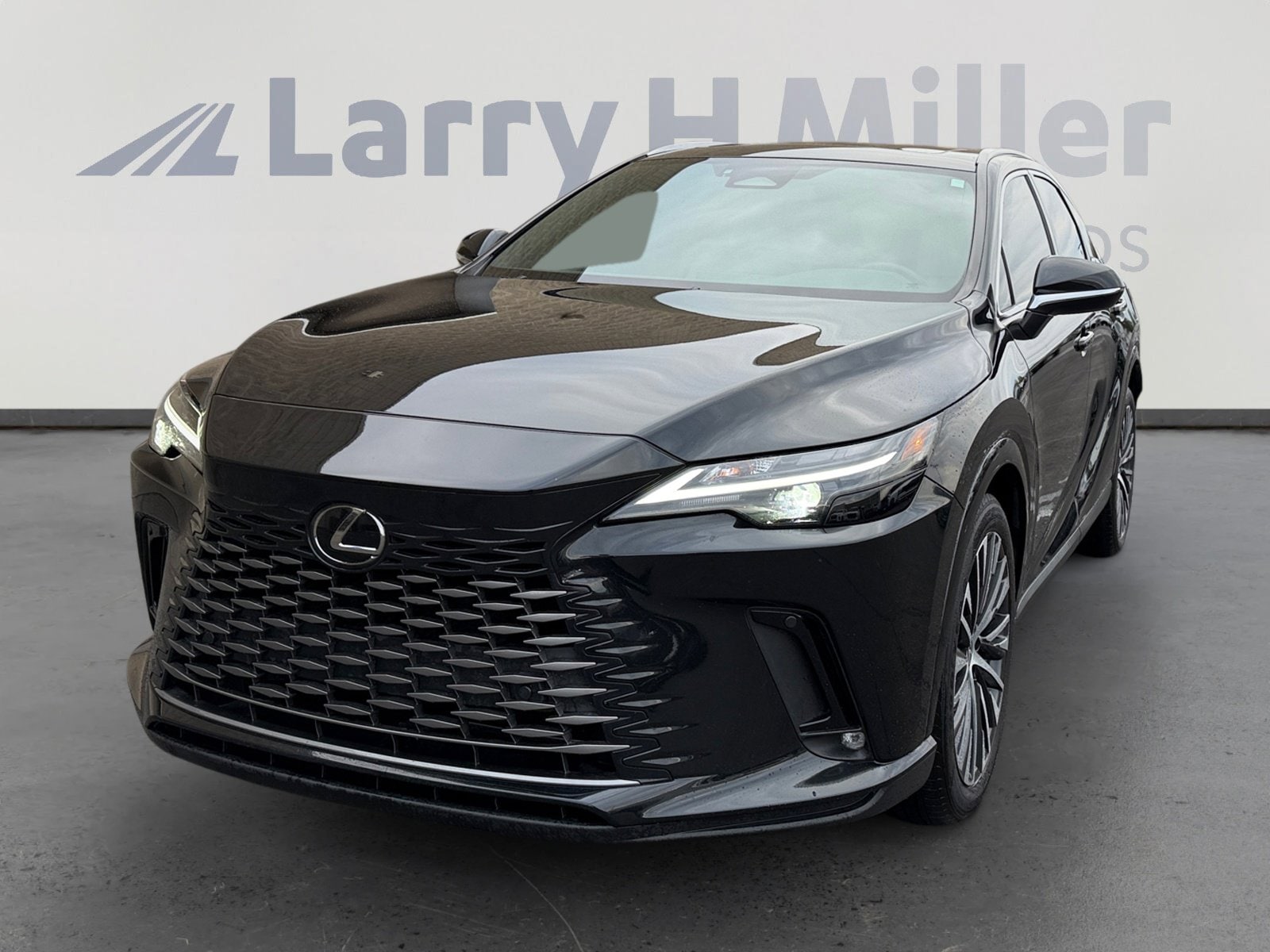 2023 Lexus RX 350's photo
