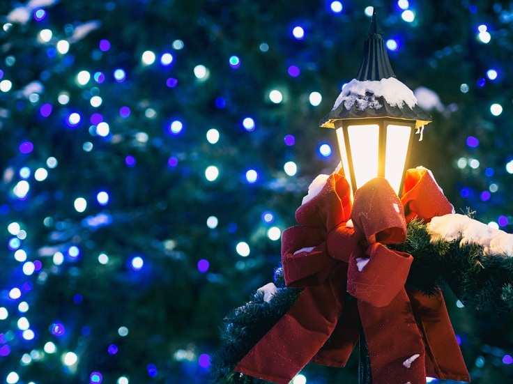 Zoo Lights