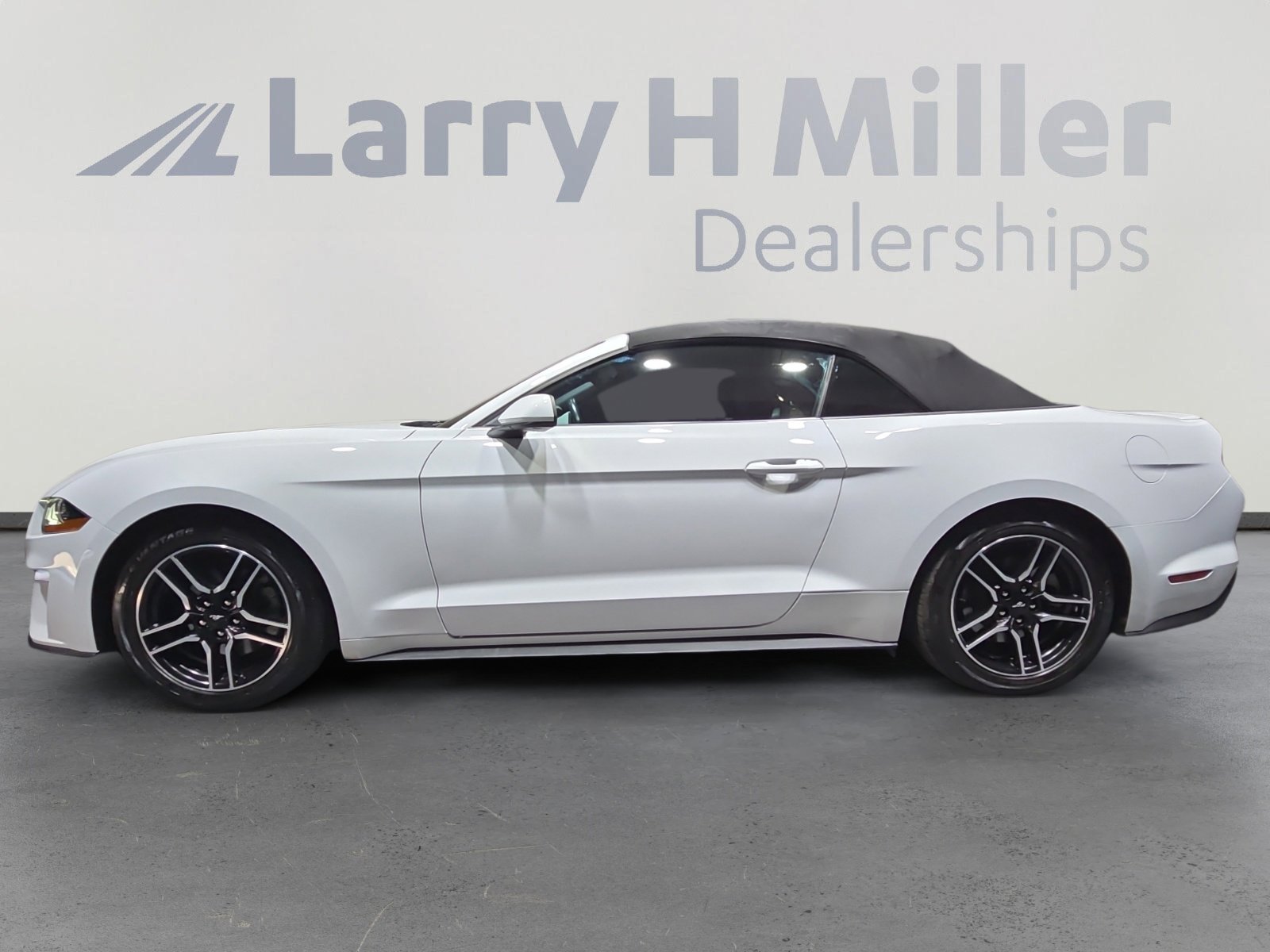 2023 Ford Mustang EcoBoost Premium photo 3