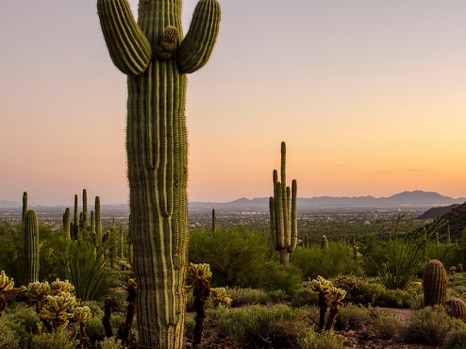 Family-Friendly Events in Mesa During September