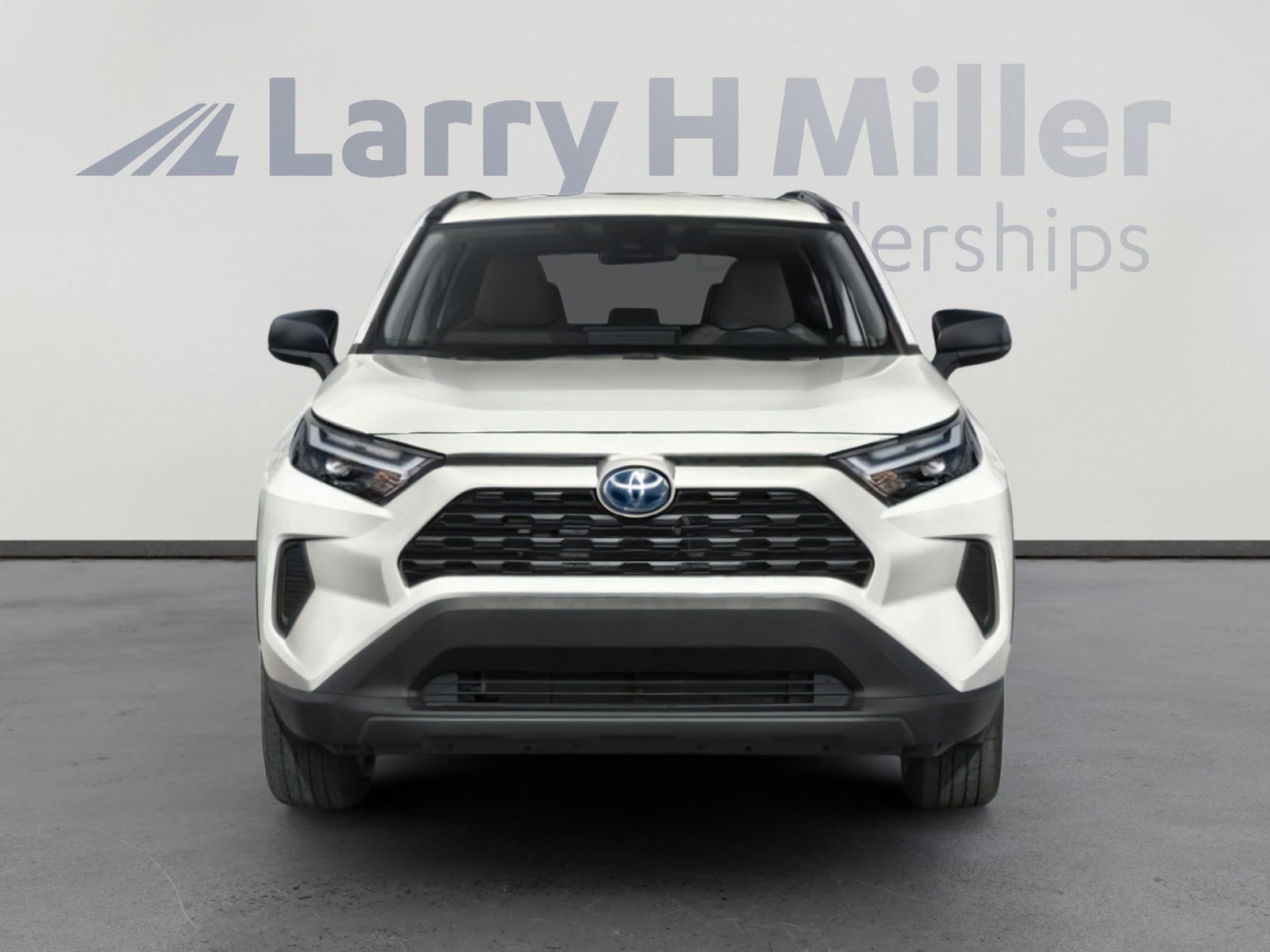 2024 Toyota RAV4 Hybrid LE photo 2