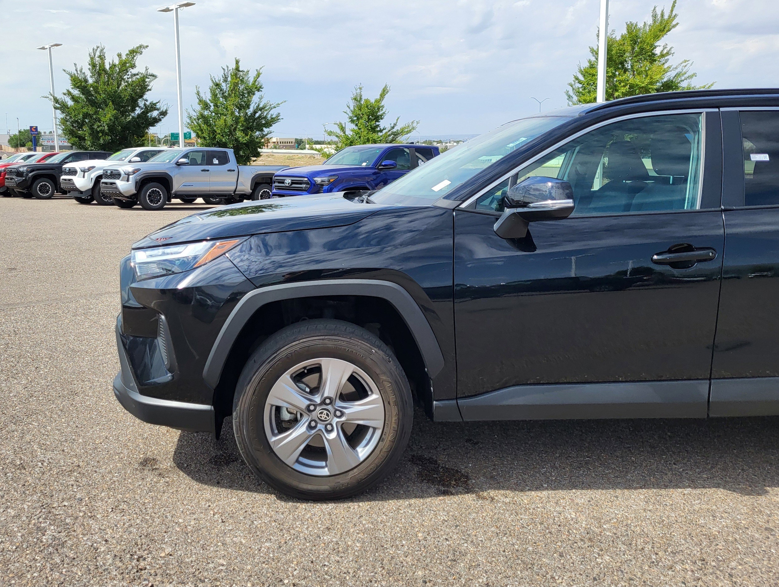 Certified 2024 Toyota RAV4 XLE with VIN 4T3RWRFV4RU123094 for sale in Northfield, Minnesota