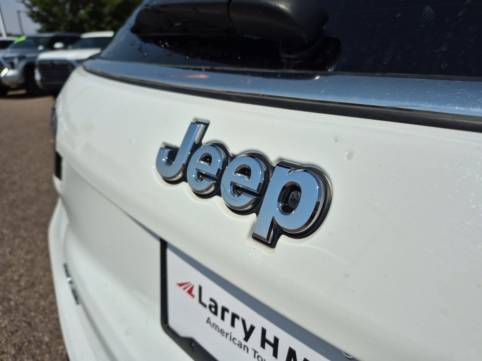 2025 Jeep Compass Limited - Photo 23