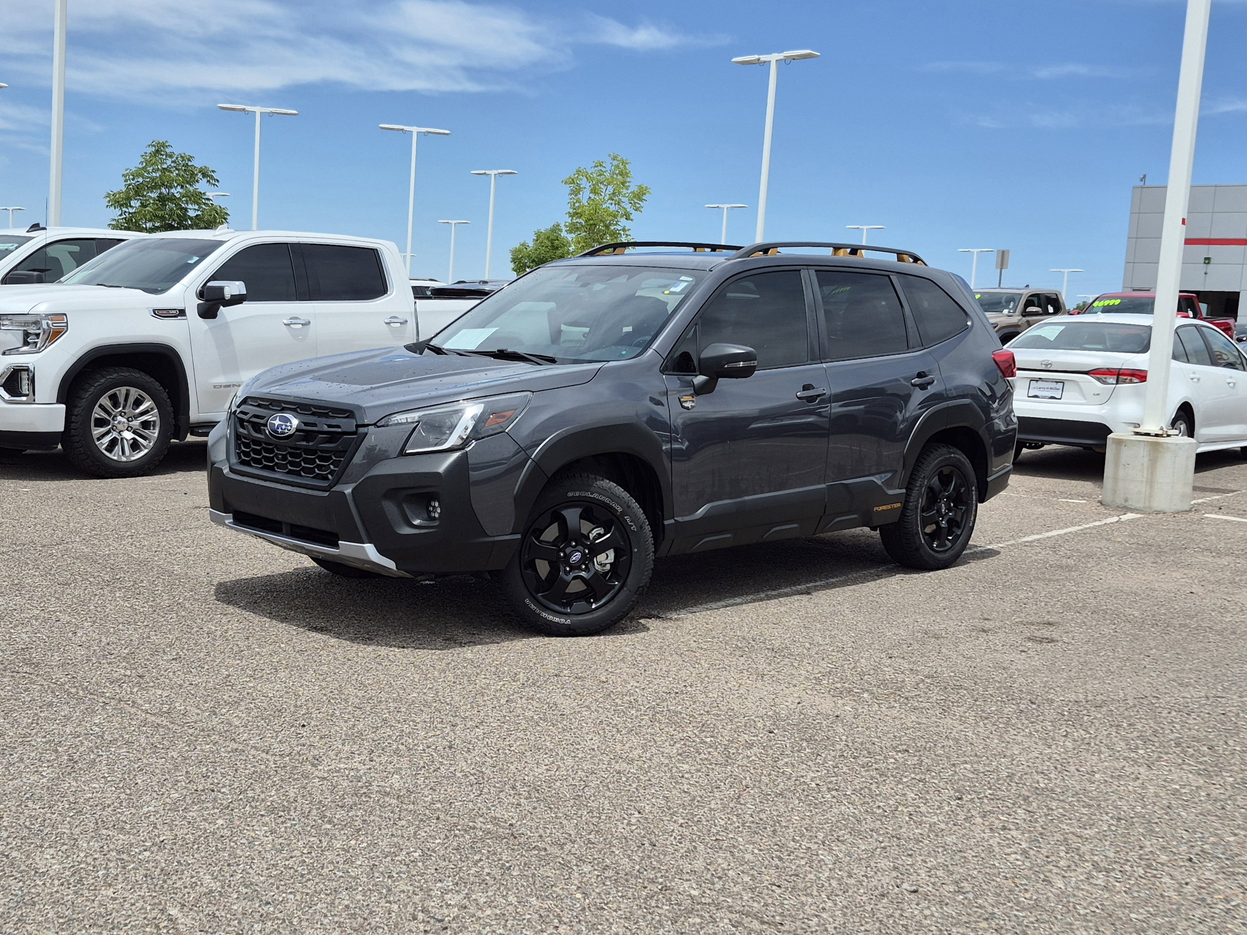 2024 Subaru Forester Wilderness's photo