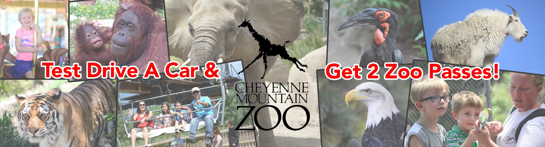 Free Cheyenne Mountain Zoo Passes in Colorado Springs
