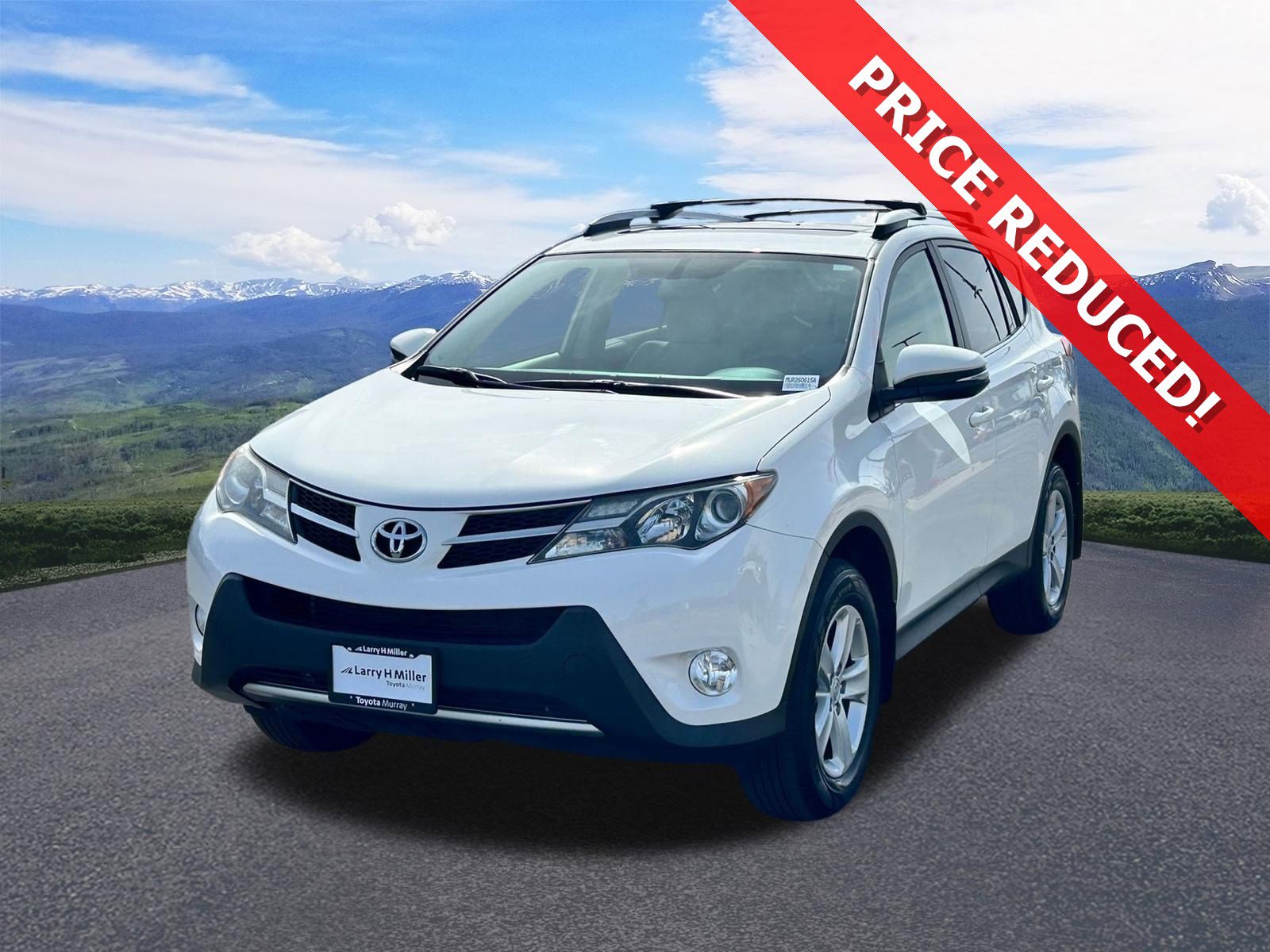 2014 Toyota RAV4 XLE