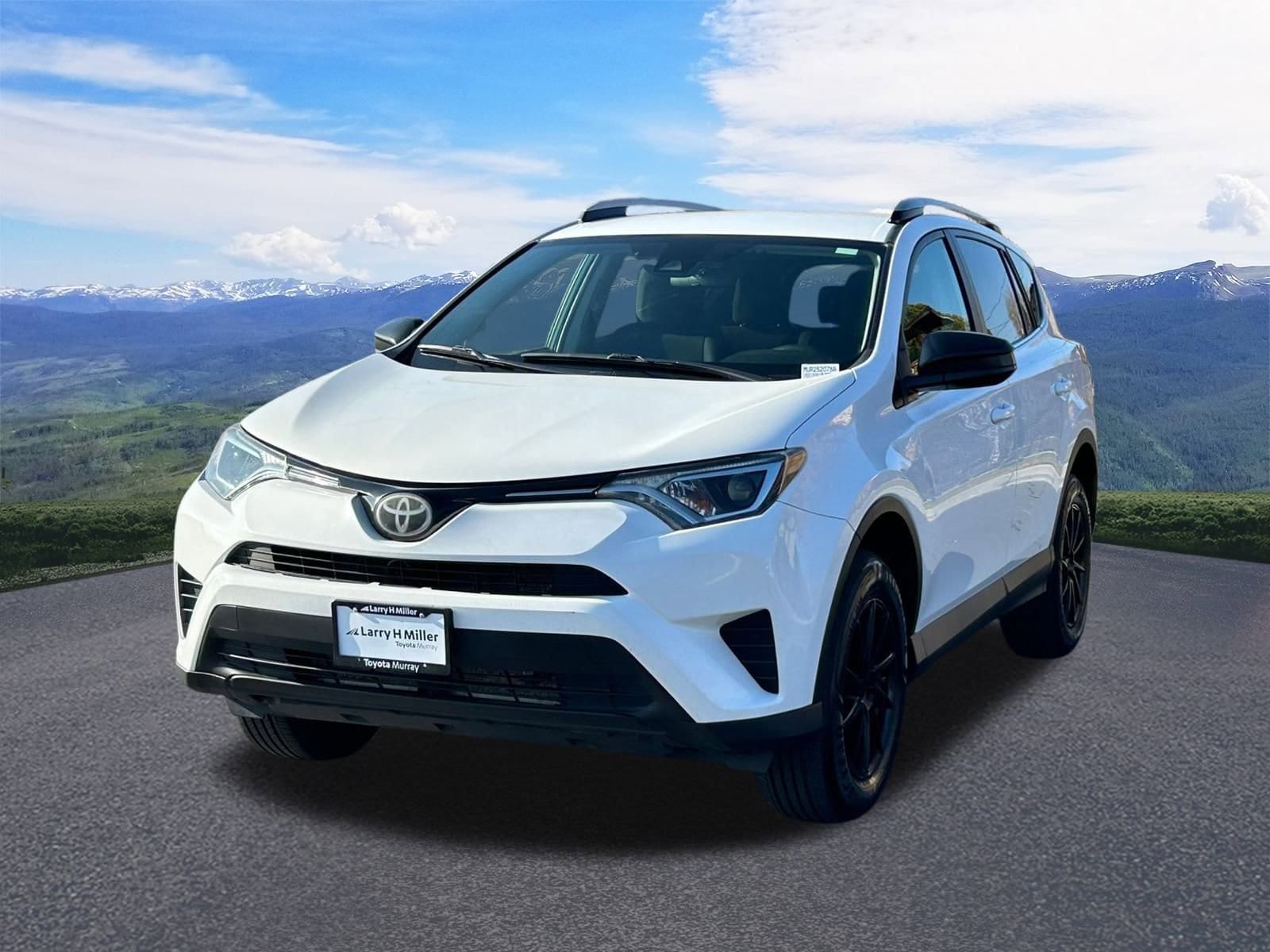 2017 Toyota RAV4 LE