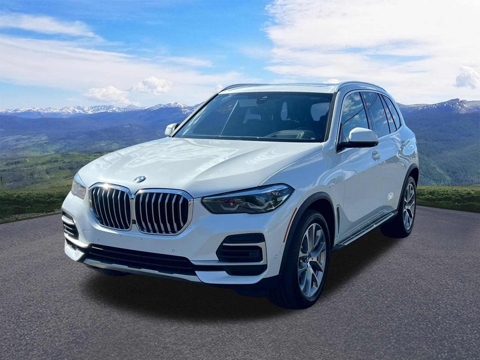 2023 BMW X5 xDrive40i's photo