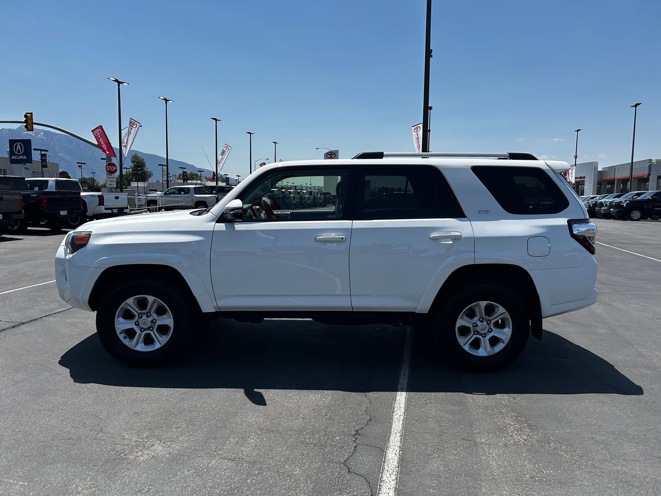 2023 Toyota 4Runner SR5 Premium photo 2