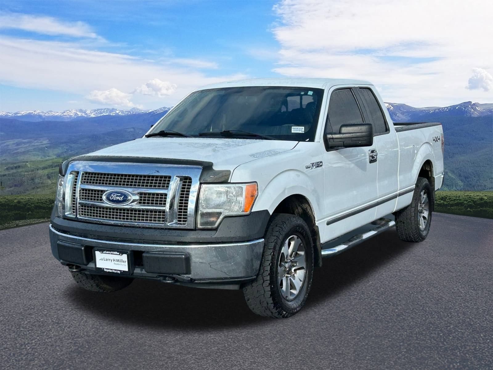 2009 Ford F-150 XL