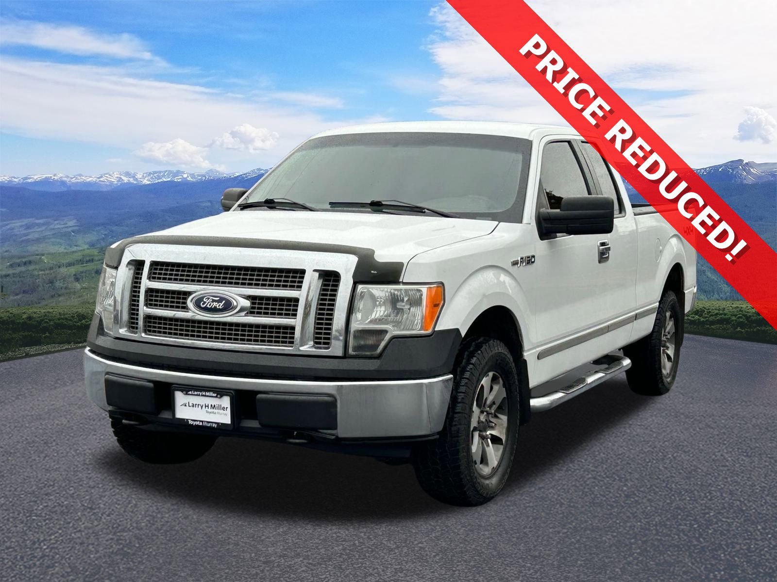 2009 Ford F-150 XL's photo
