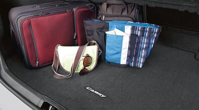 Carpet Trunk Mat