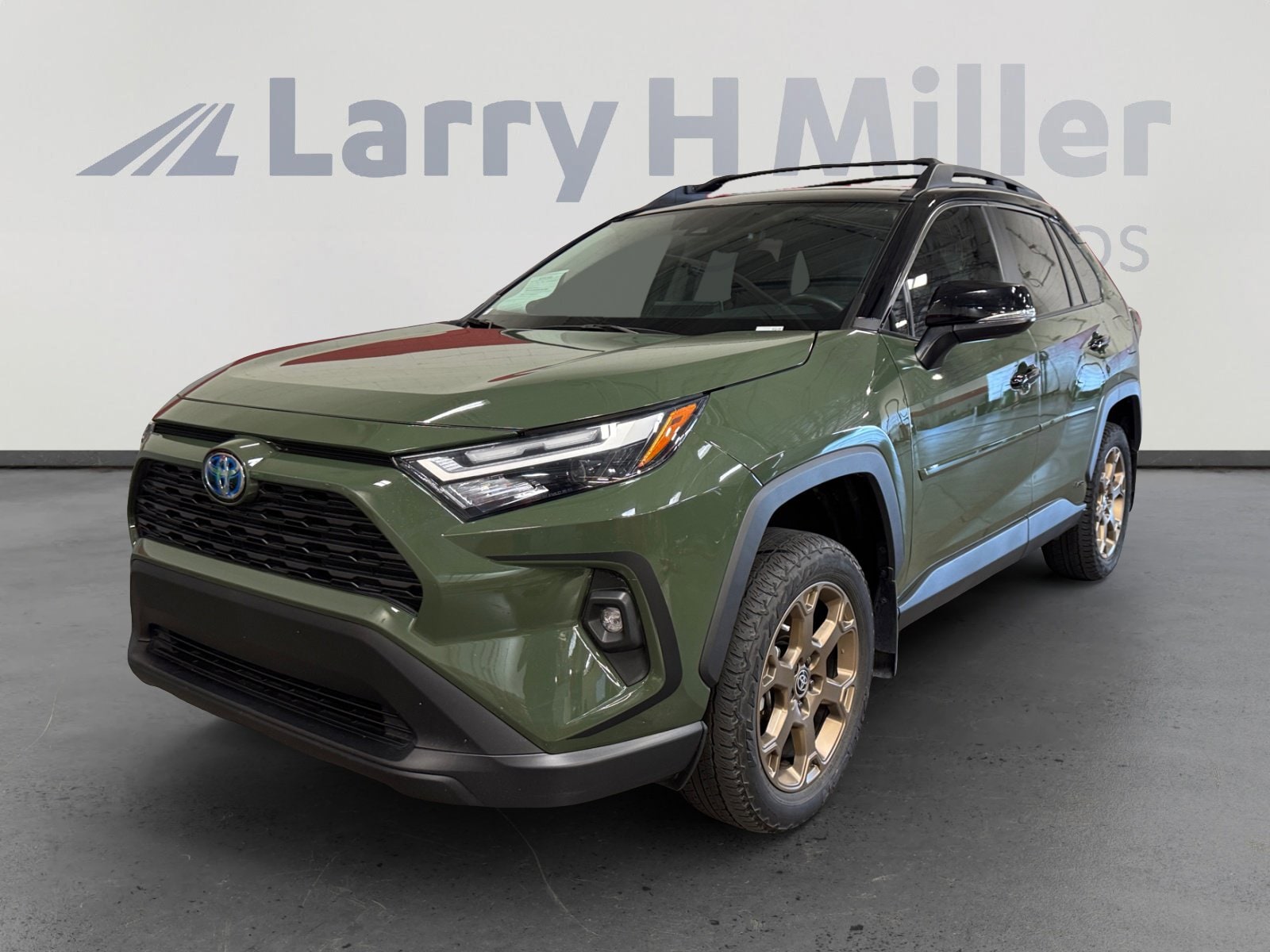 2024 Toyota RAV4 Hybrid Woodland Edition AWD's photo