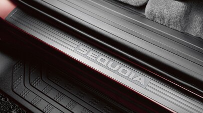 Door Sill Protectors
