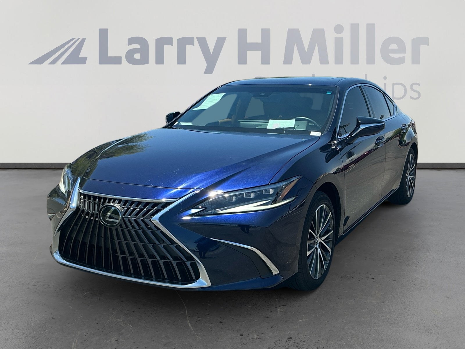 2025 Lexus ES 300h 300h's photo