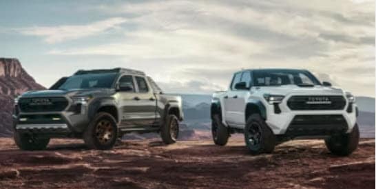tacoma%20trucks.jpg