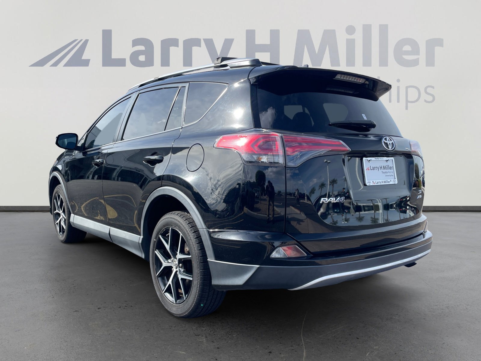 2016 Toyota RAV4 SE photo 3