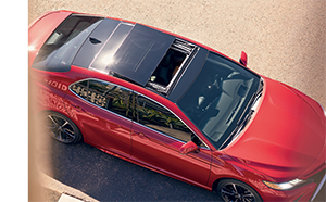2019 Toyota Camry in Colorado Springs