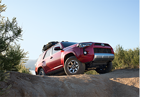 2019 Toyota 4Runner in Colorado Springs