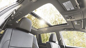 Highlander Interior