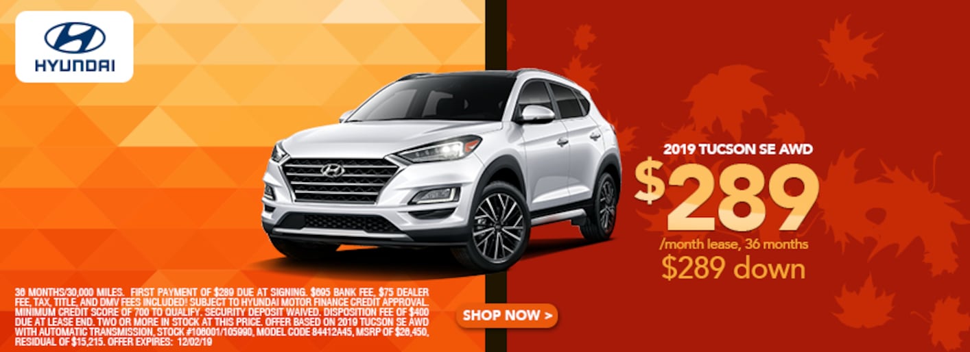 Lia Hyundai in Albany, NY Car Dealership near Schenectady & Guilderland