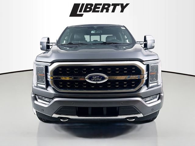 2022 Ford F-150 Platinum photo 2