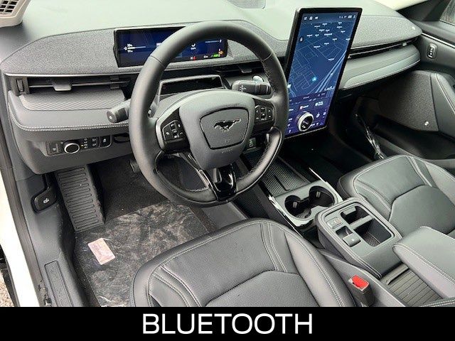 2025 Ford Mustang Mach-E Premium - Photo 12