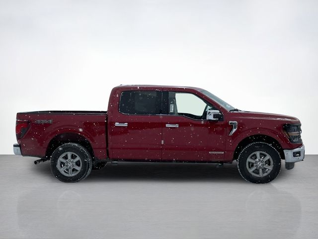 2025 Ford F-150 XLT photo 2