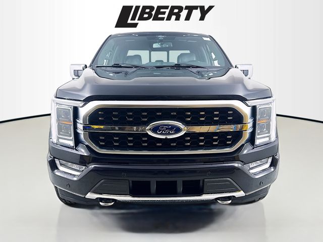2021 Ford F-150 Platinum photo 2