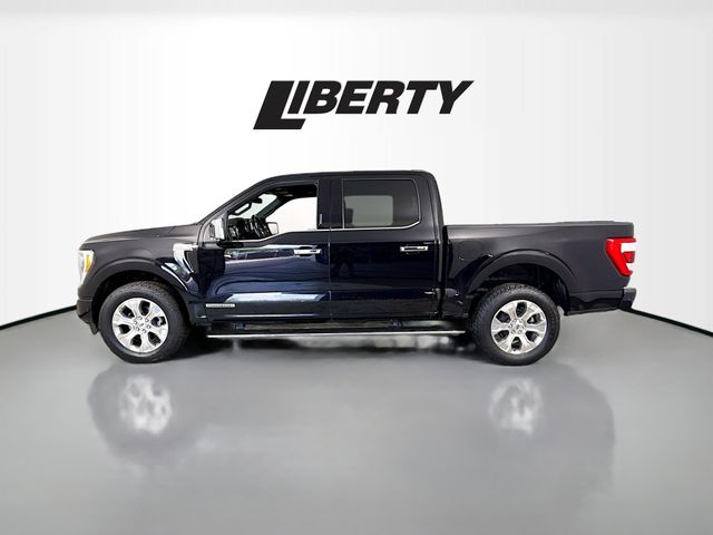 2021 Ford F-150 Platinum photo 4