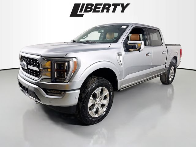 2022 Ford F-150 Platinum photo 3
