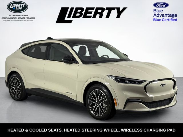 2025 Ford Mustang Mach-E SUV 