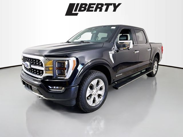 2021 Ford F-150 Platinum photo 3